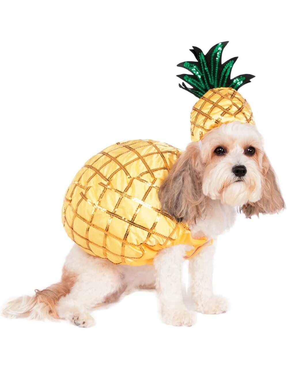 Pineapple Pet Costume (Small)